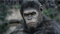 Dawn Of The Planet Of The Apes