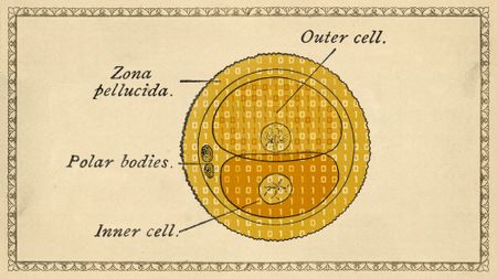 Illustrative collage of a vintage diagram of a cell. The cell is full of binary code