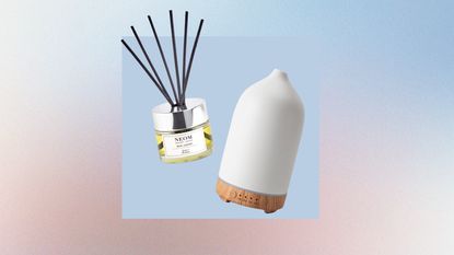 Reed diffuser and essential oil diffuser on pastel background
