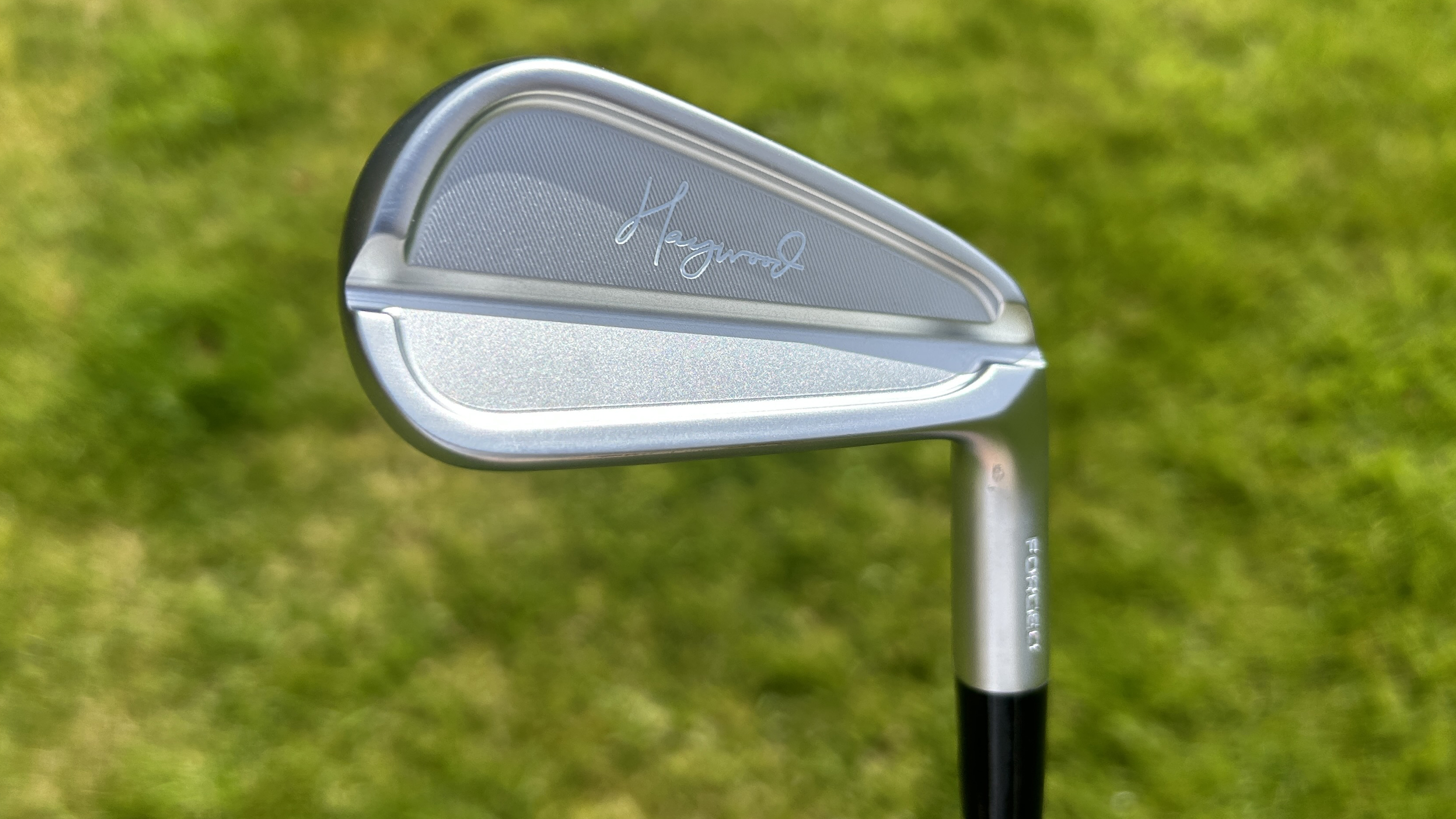 Photo of the Haywood CB Iron