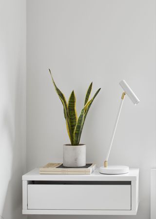 Minimalist interior design with shelf, lamp, and snake plant for tranquil bedroom space