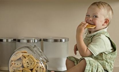 Toddlers who ate diets high in fat and sugar were reportedly associated with lower IQ scores as they aged.