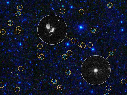 Black Hole Bonanza