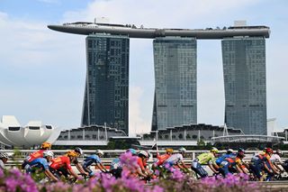 SINGAPORE SINGAPORE NOVEMBER 10 LR Fabien Grellier of France and Team TotalEnergies Laurent Rex of Belgium and Team IntermarcheCircusWanty Patrick Konrad of Austria and Team Lidl Trek and a general view of the peloton competing with the Marina Bay Sands building in the background during the 3rd Tour de France Prudential Singapore 2024 Criterium a 575km one day race from Singapore to Singapore on November 10 2024 in Singapore Photo by Tim de WaeleGetty Images