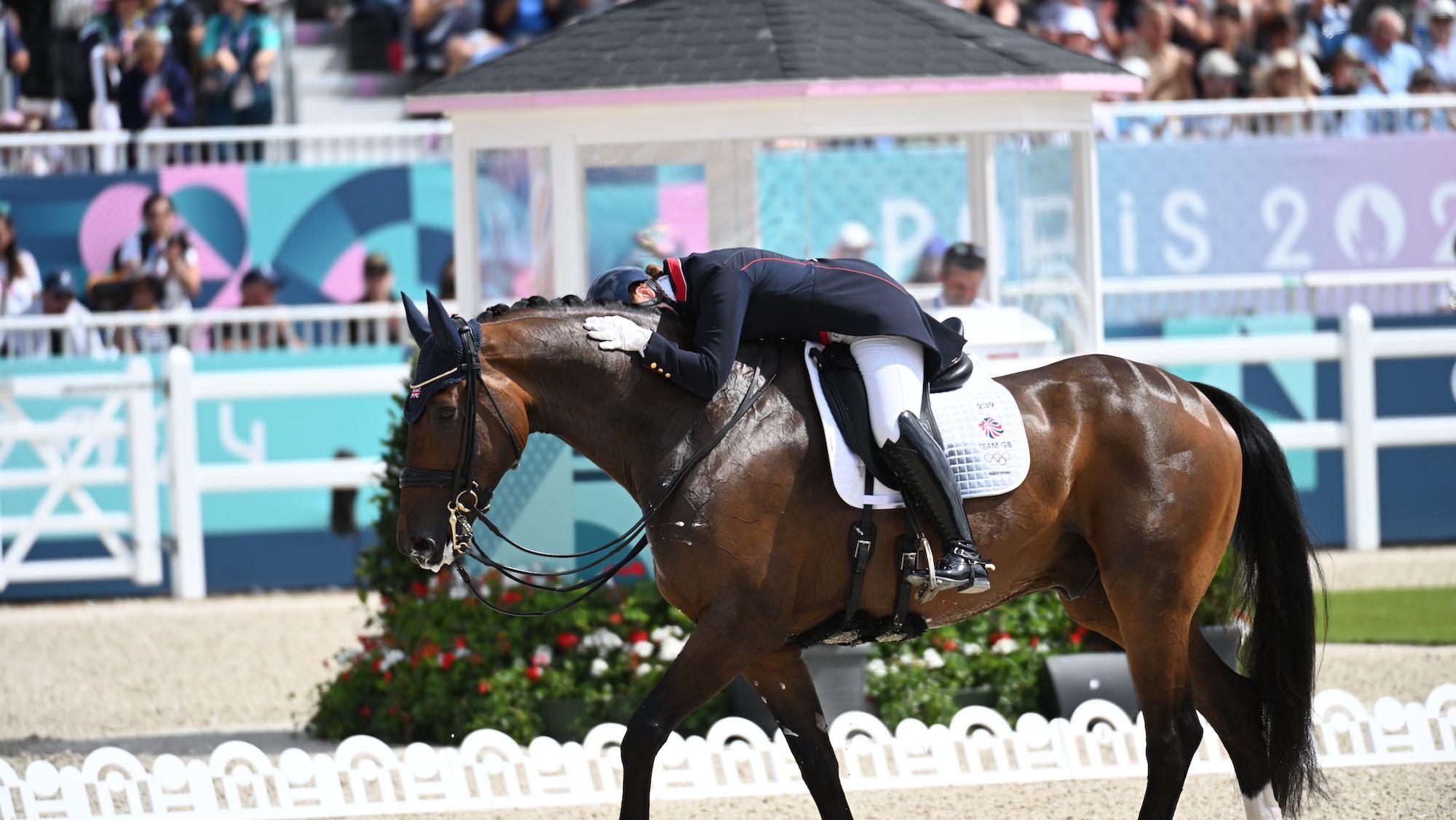 Discovering the Profound Impact of Positive Imagery in Equestrian Sports