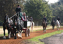 Richmond-Park.jpg