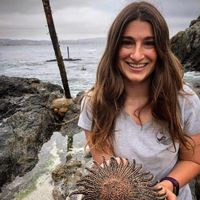 Amanda Heidt's avatar