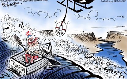 Political Cartoon