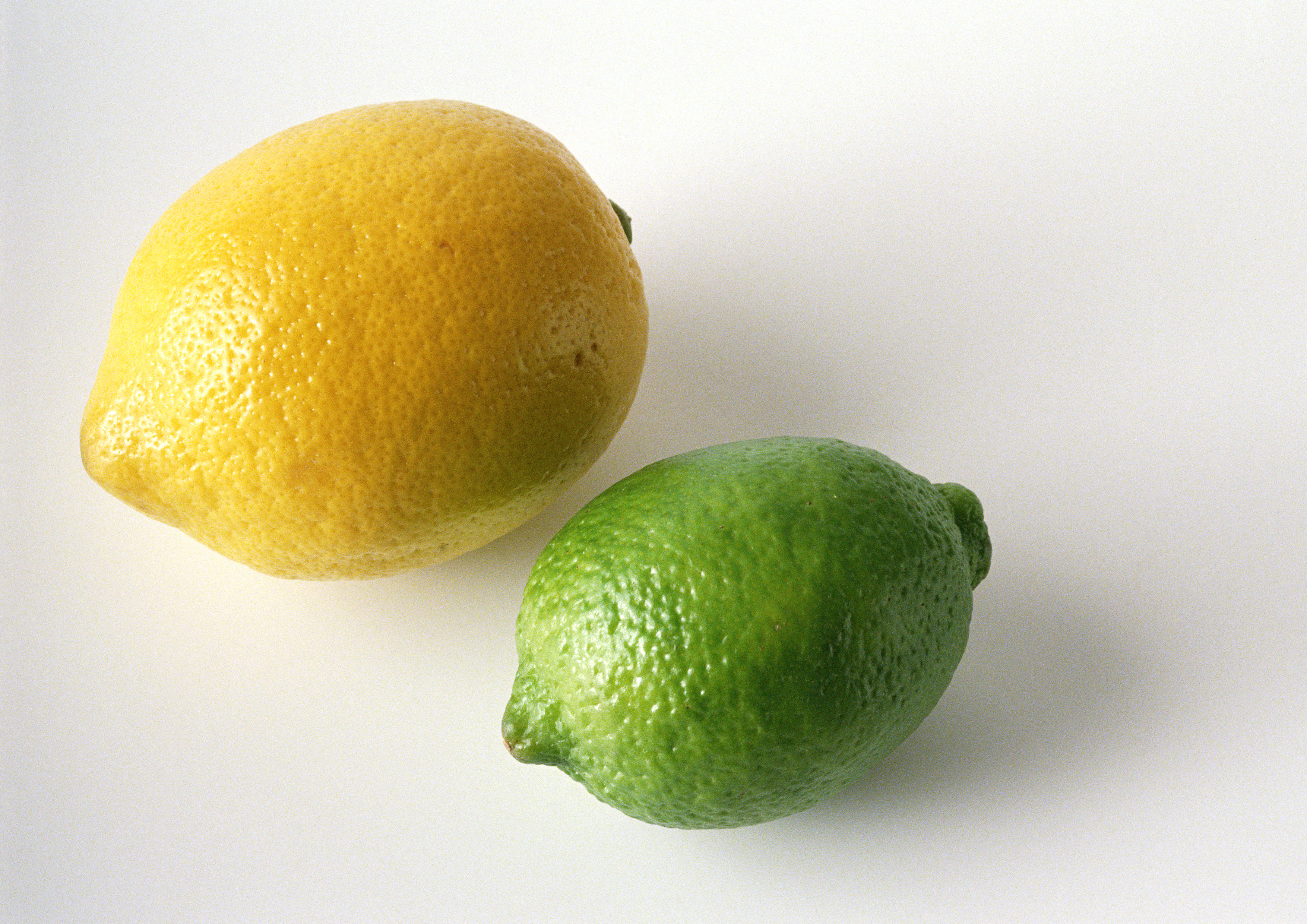 Un limón grande junto a una lima pequeña sobre un fondo blanco.
