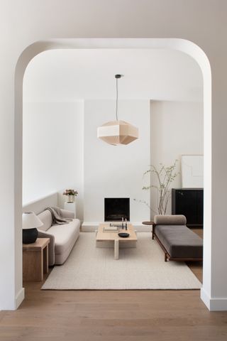 Cozy minimalist living room with area rug