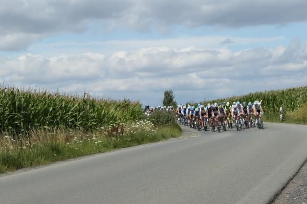 The peloton makesa a descent through arable land in Thuringen