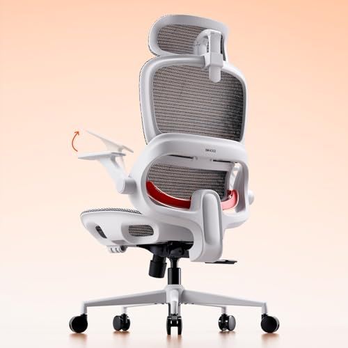 B100 Mesh Ergonomic Office Chair With Adaptive Lumbar Support