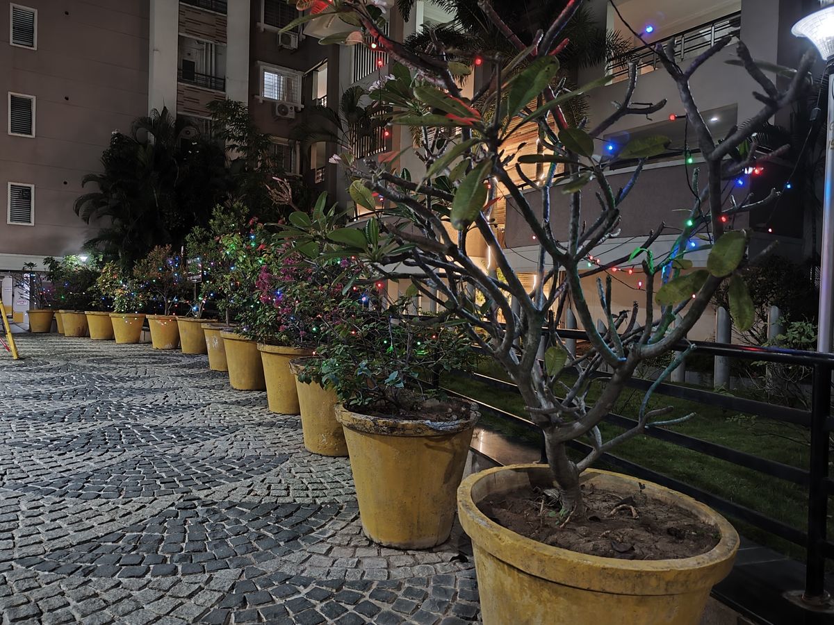 Redmi Note 14 Pro Plus camera shots