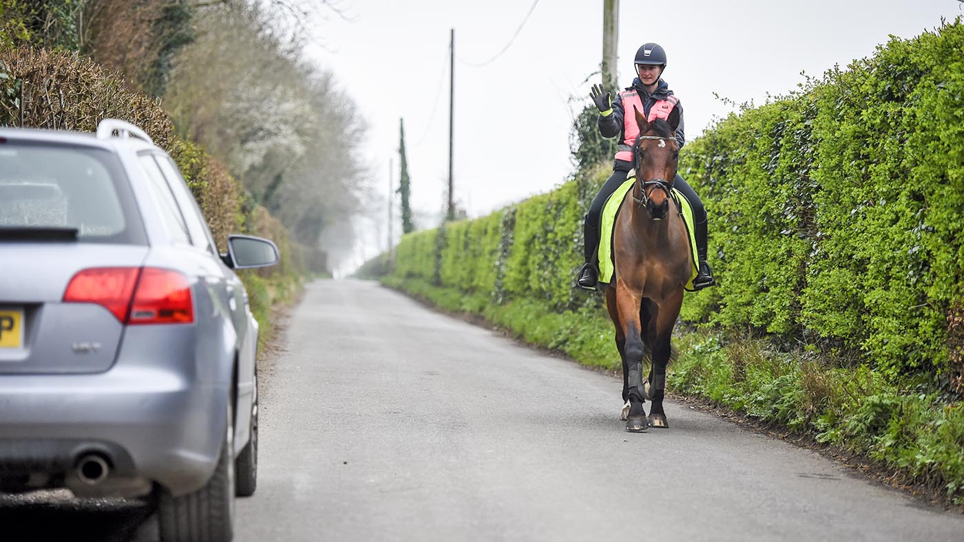 Horse and rider hacking on the road in high viz