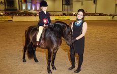 little-ted-rescue-pony.jpg