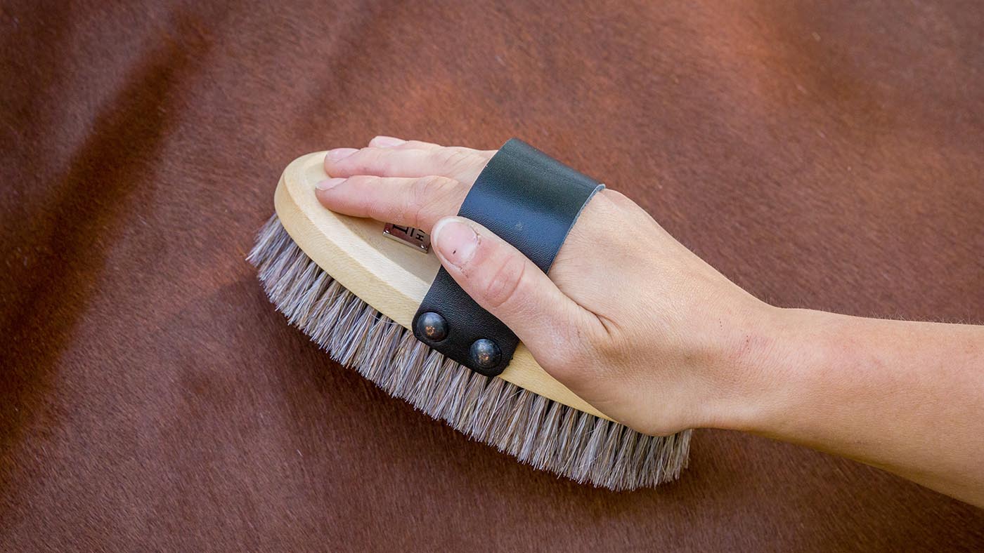 LeMieux Heritage dapple body brush