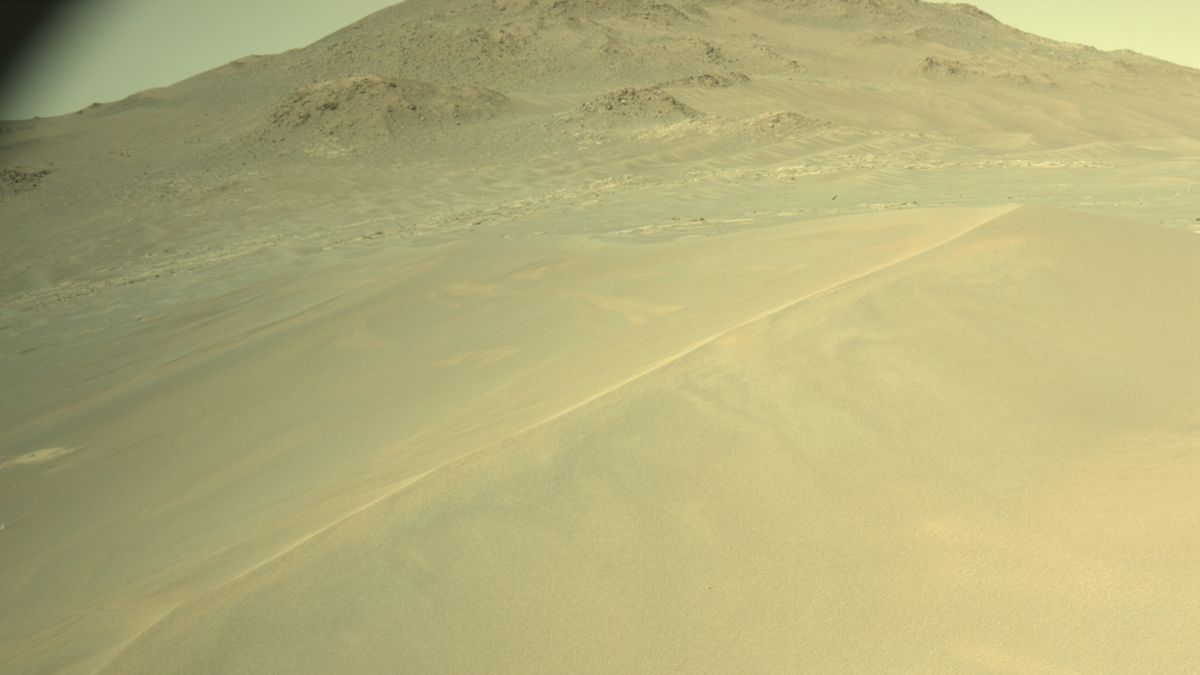 NASA Perseverance rover sees megaripples on Mars | Space photo of the day for Jan. 7, 2026.