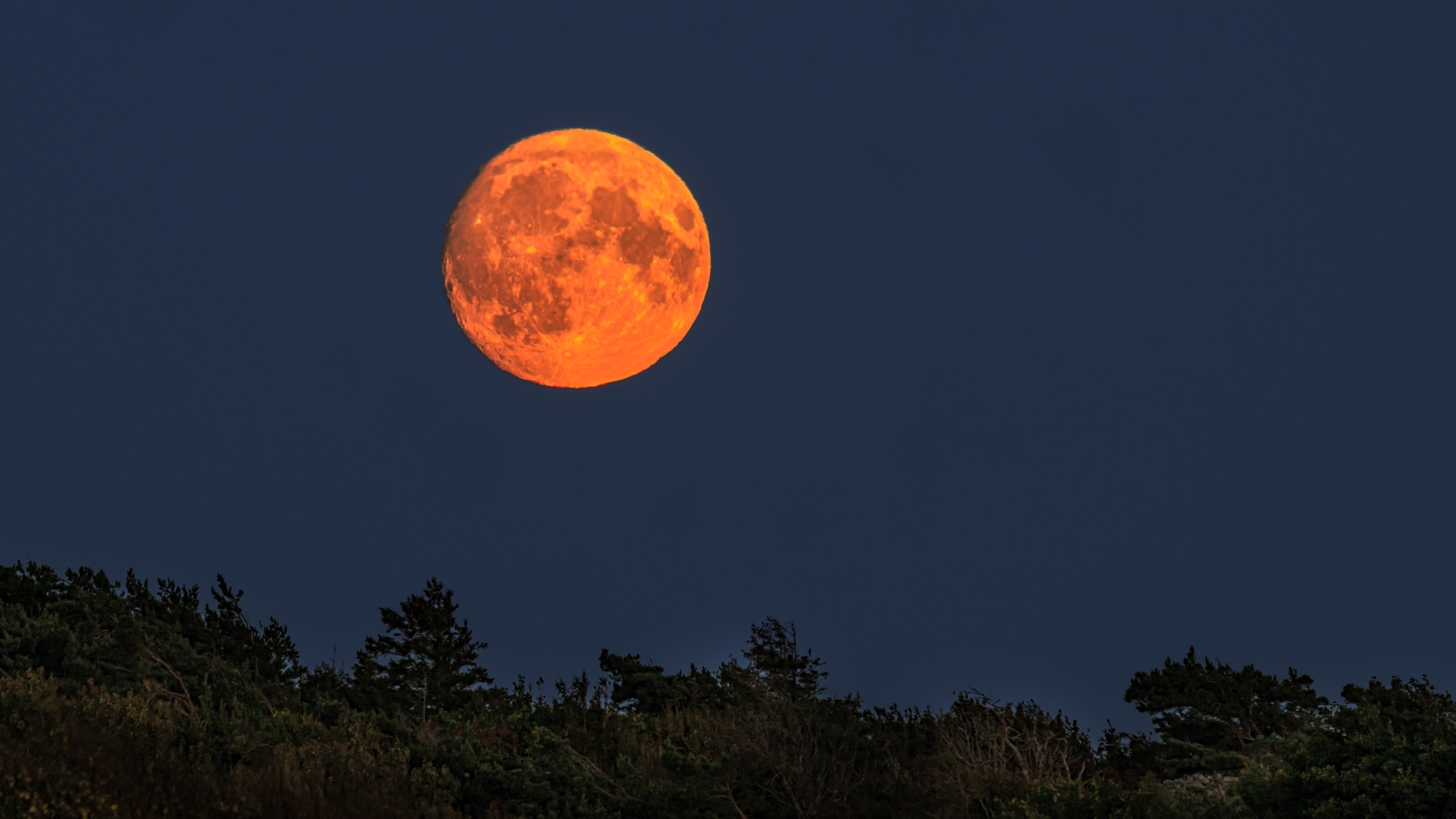 Full moon