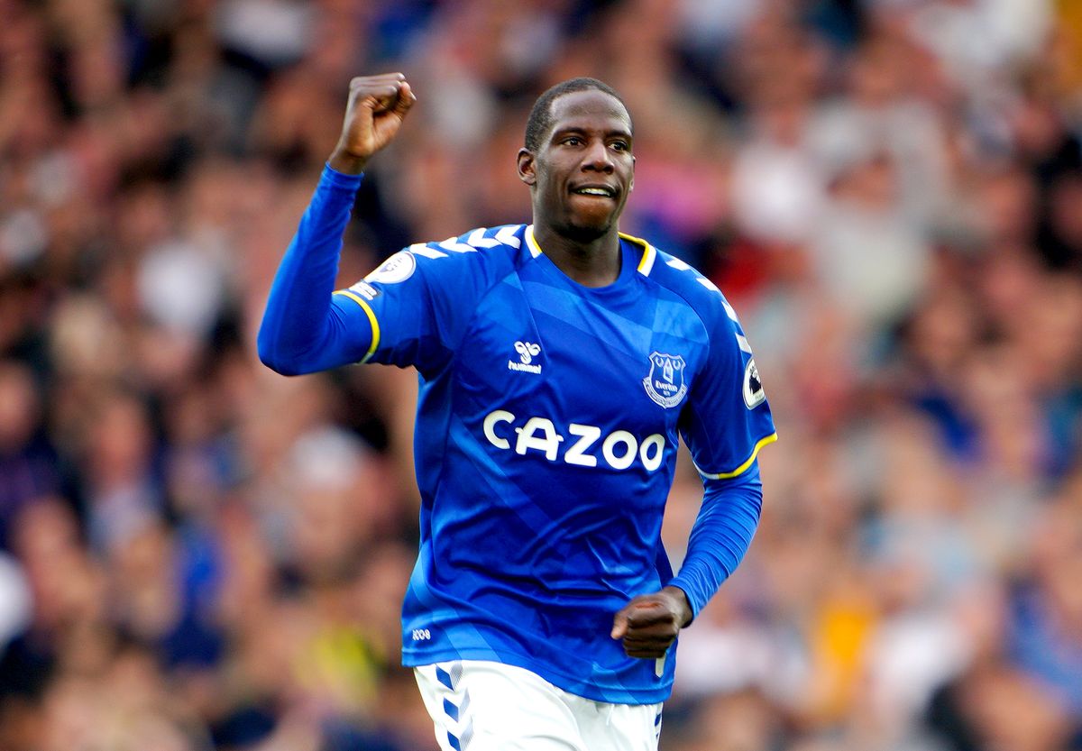 Everton v Norwich – Premier League – Goodison Park