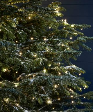 Micro Christmas lights, Lights4fun