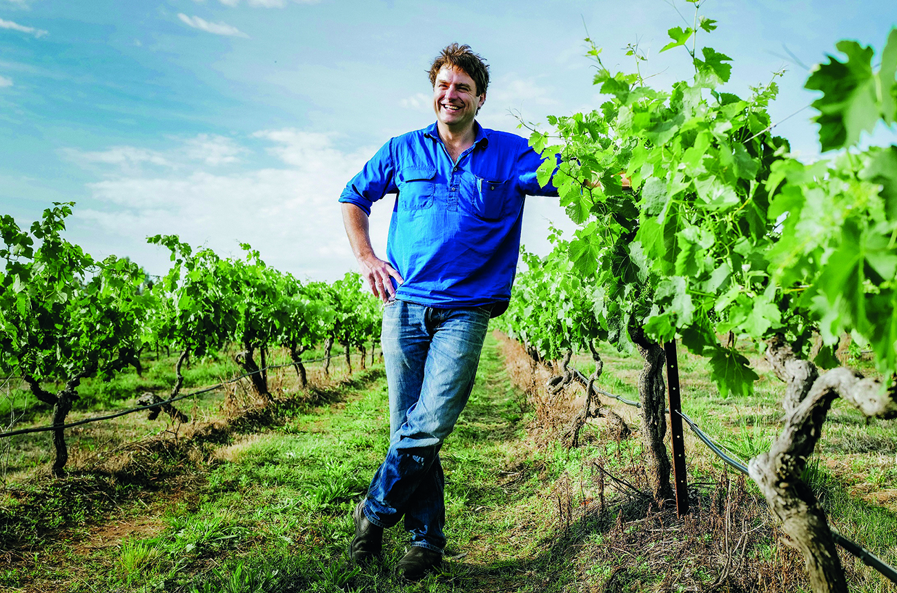 Stuart Hordern standing in vineyard
