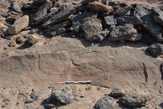 These 5,200-year-old carvings are the oldest found at Wadi Ameyra in the Sinai Desert and depict a boat along with an assortment of animals.