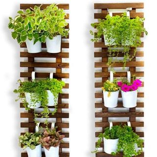 wall trellis for hanging plants
