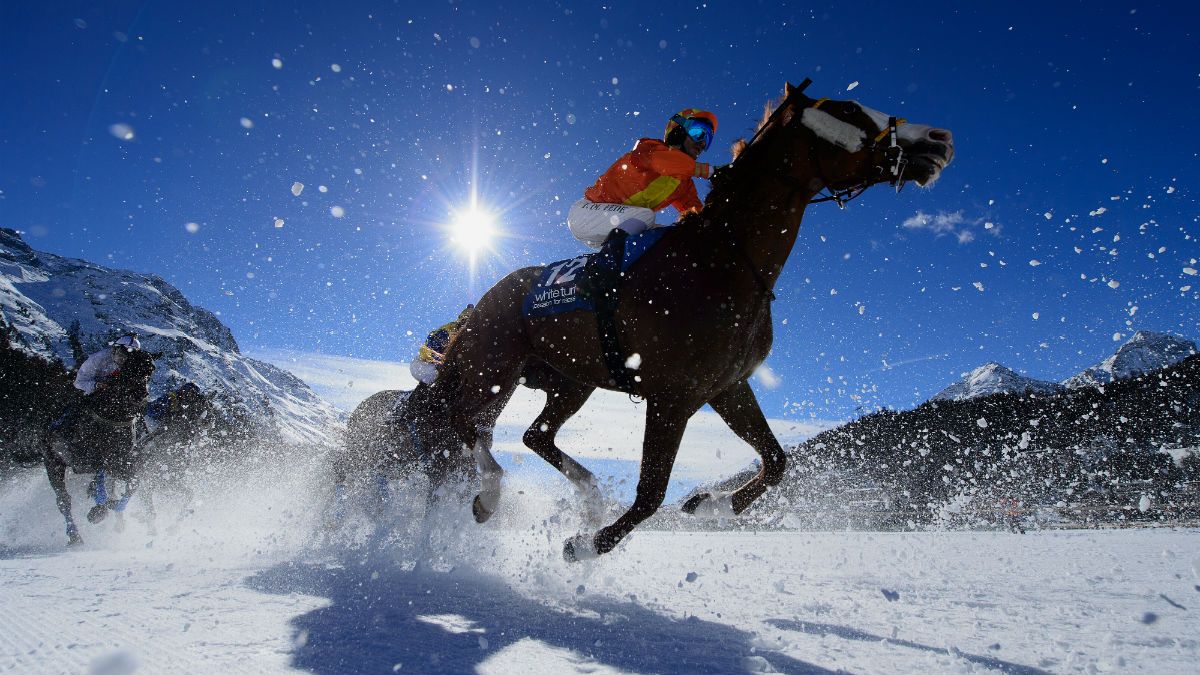 3-horse-racing.jpg