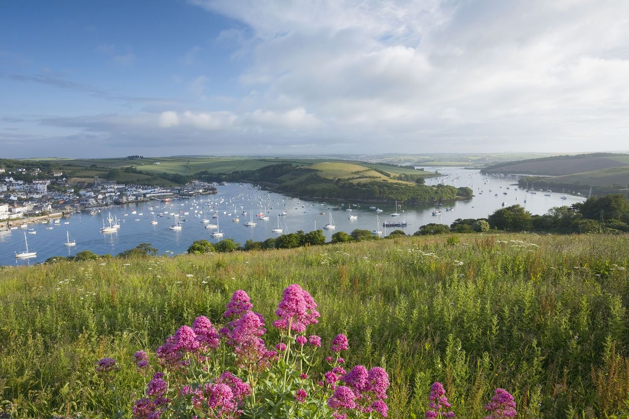 Salcombe Harbour and Kingsbridge Estuary from East Portlemouth.