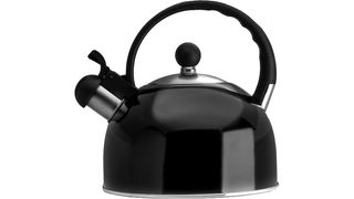 best tea kettle stovetop