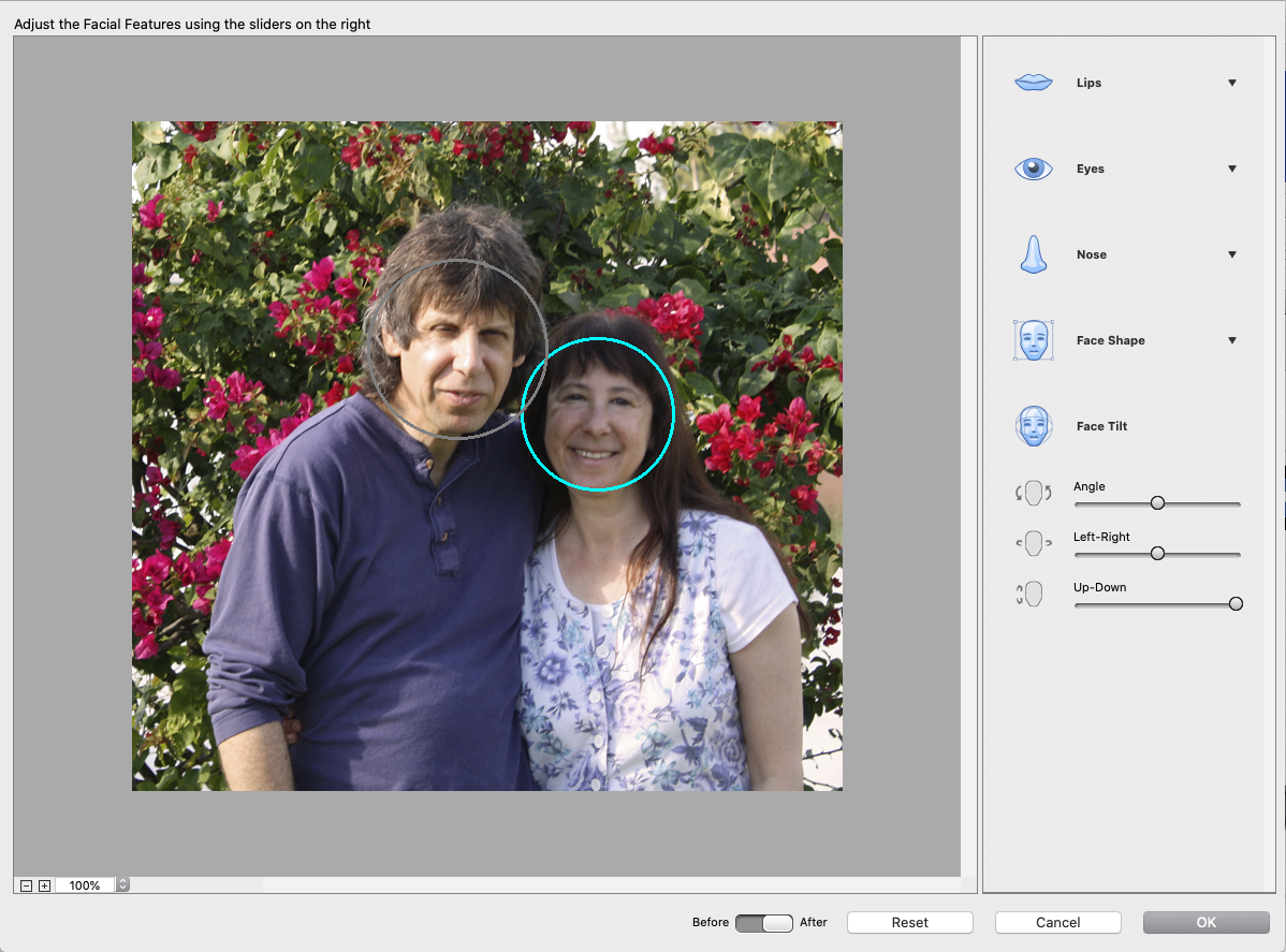 Adobe Photoshop Elements 2021 review