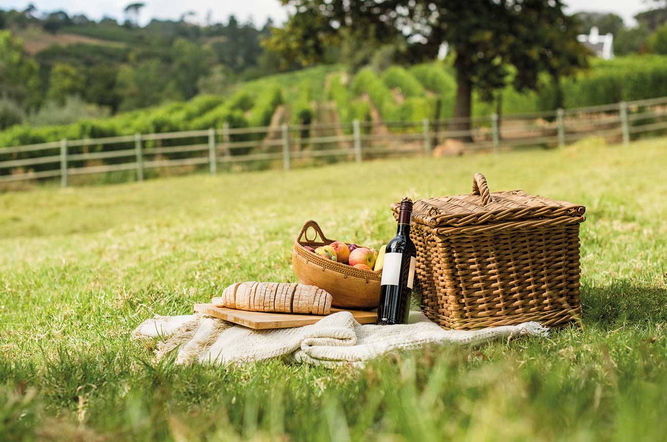 DEC275.picnicking.gettyimages_658600350_credit_istock_getty_images_plus_for-web.jpg