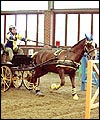 FDCD9939-D0F4-4154-B5EC-71F47385F9D1.jpg