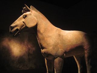 Emperor Qin Shi Huang was buried with everything he needed for the afterlife, including an army complete with life-size clay horses.