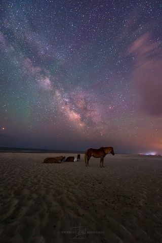 Cosmic Ponies