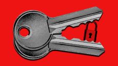 Illustration of two keys looking like a crocodile biting down on a padlock
