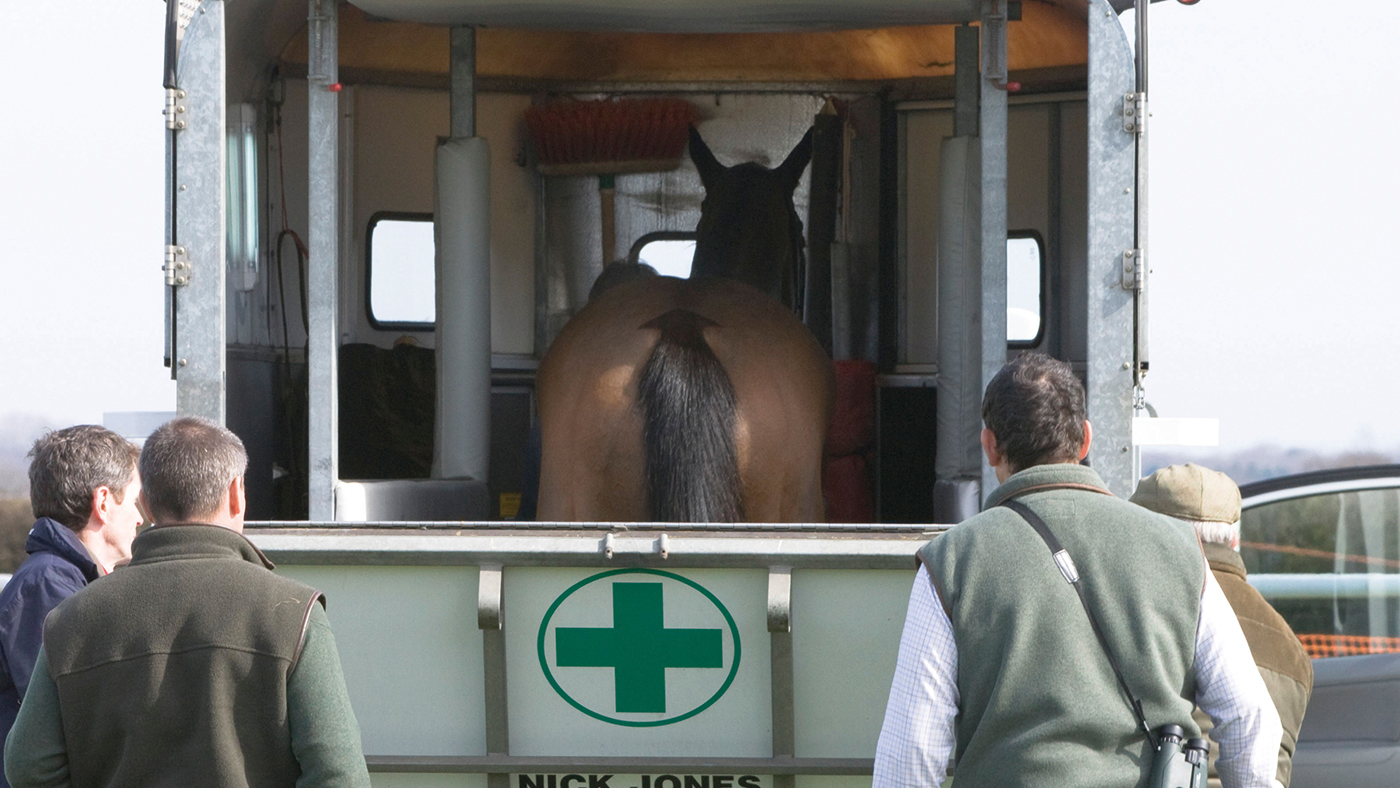 CNYBHC Injured steeple chaser at a point to point horse race in Oxfordshire England Equus ferus caballus. Image shot 2012. Exact date unknown.