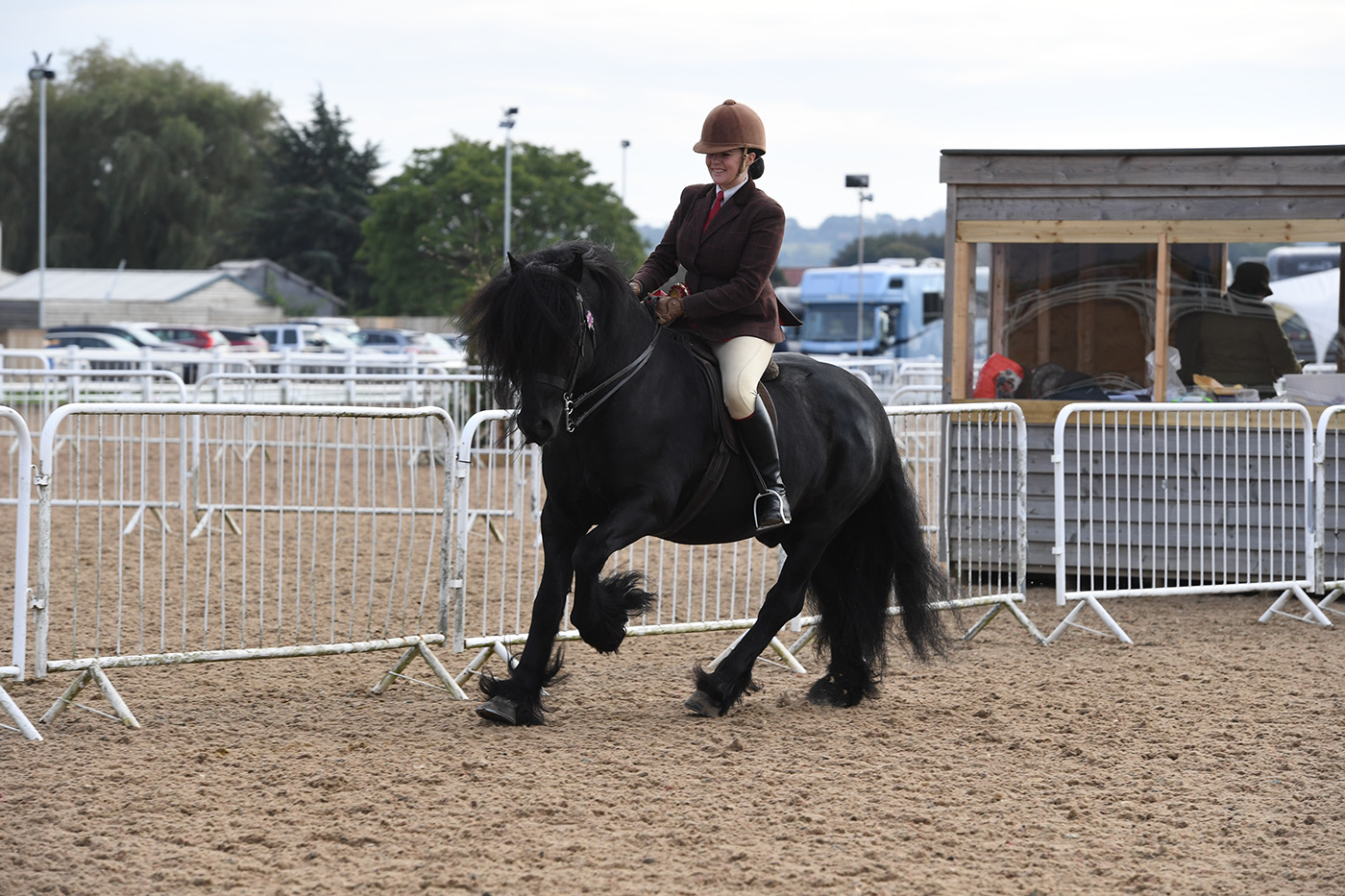 Heritage Show 17.10.21CL 93No. 176 Wellbrow Diplomat. Hayley Reynolds