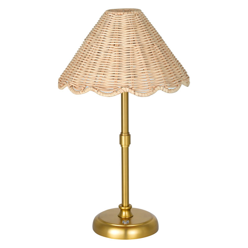 Dakota Fields Cordless Boho Rattan Table Lamp, 5200-Mah Rechargeable Battery | Wayfair