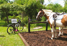 Horse_Parking_Lot-hr.jpg