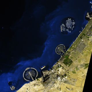 Dubai undertook a massive engineering project to create hundreds of artificial islands along its Persian Gulf coastline. Built from sand dredged from the seafloor and protected from erosion by rock breakwaters, the islands were shaped into recognizable fo