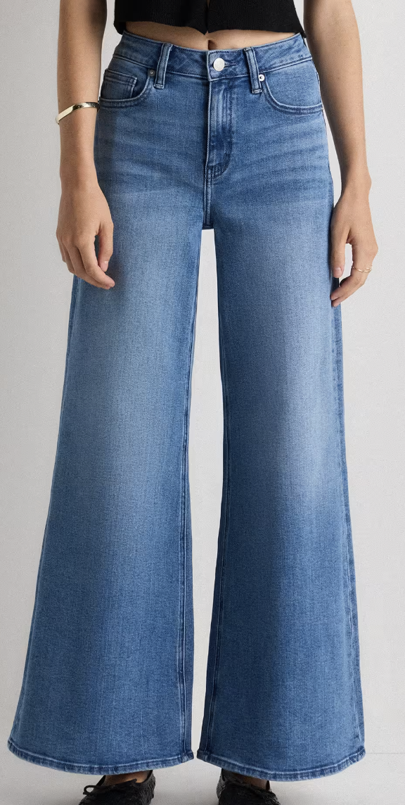 Quince, Bella Stretch Palazzo Jeans in Seaside Blue
