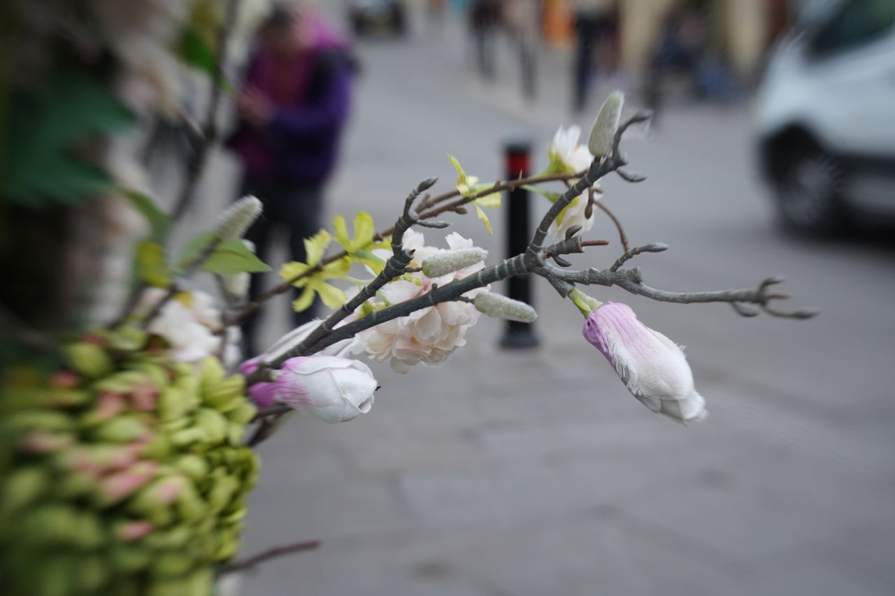 Lensbaby Double Glass II Optic Review