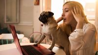 Stressed dog owner sat at laptop