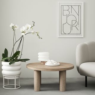 living room with photoframe on white wall and white flower on white pot