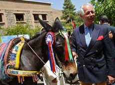 Mule-awards-4-credit-Anne-Heslop.jpg