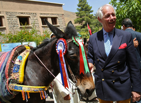 Mule-awards-4-credit-Anne-Heslop.jpg