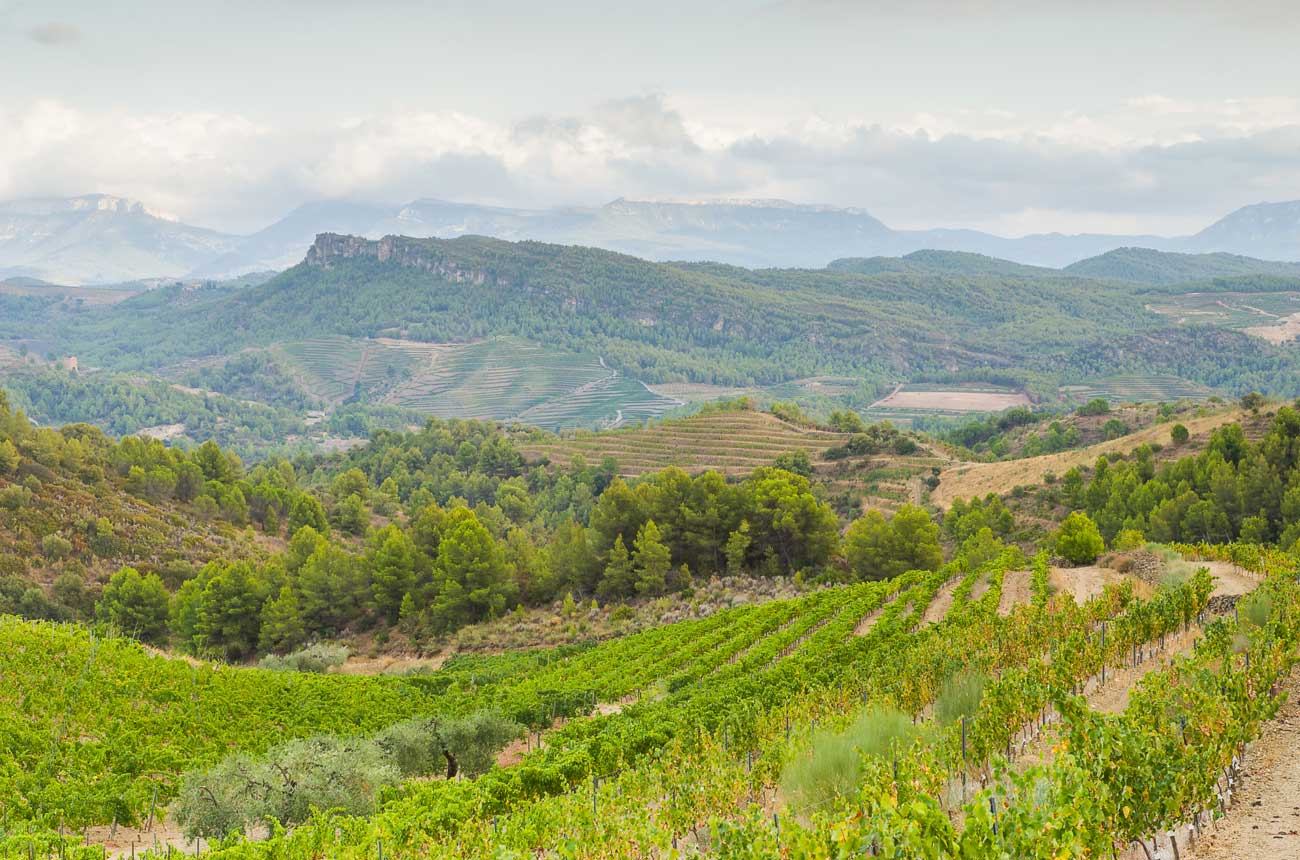 priorat-landscape.jpg