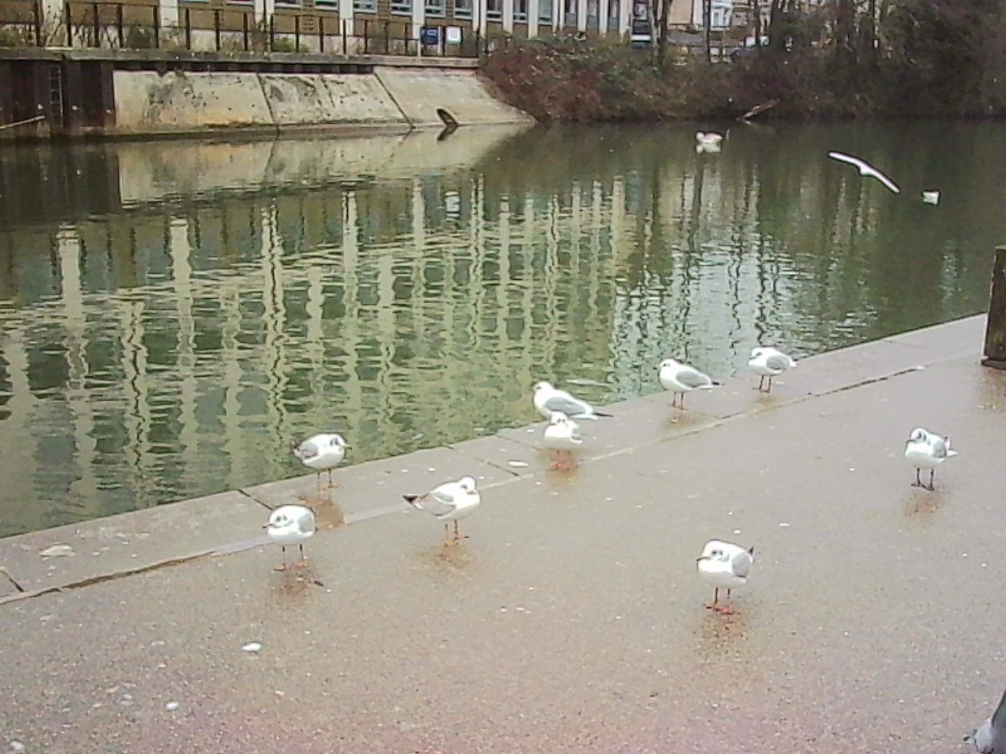 A photo taken on a Kodak Charmera keychain camera