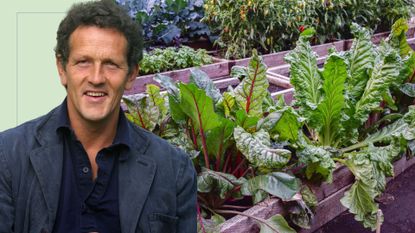 picture of chards growing in garden and a cut out of monty don